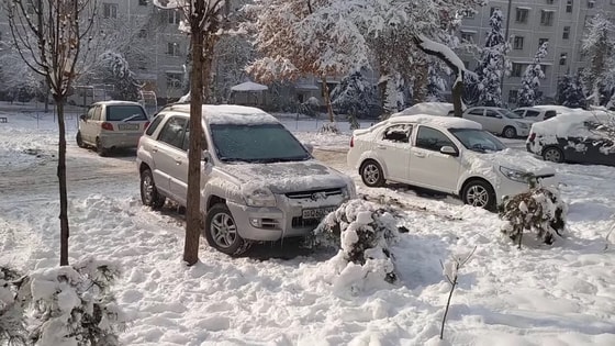 Фото: Комсомольская правда