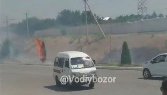 Кадр из видео&nbsp;