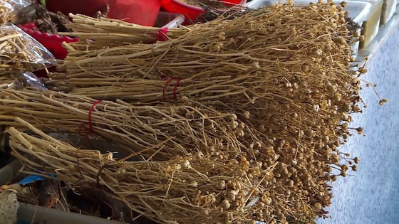 Фото: Открытые источники