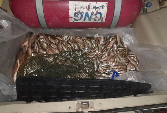 Фото: Минприроды