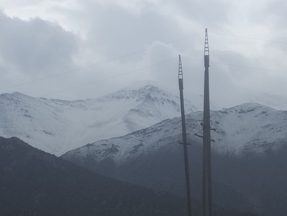 Foto:&nbsp;Jizzax Ekologiya boshqarmasi matbuot xizmati