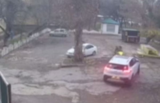 Кадр из видео