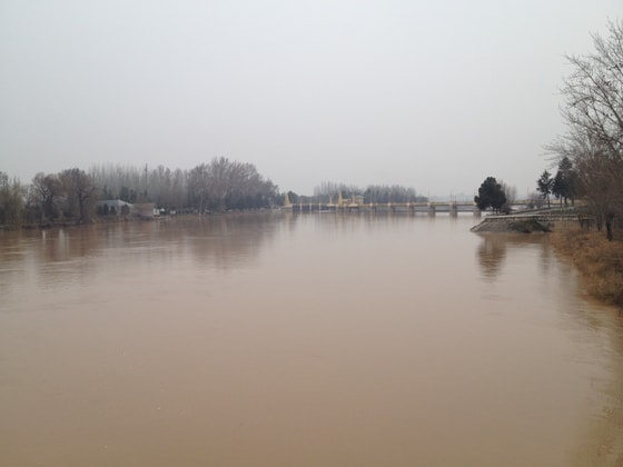 Фото: wikipedia.org