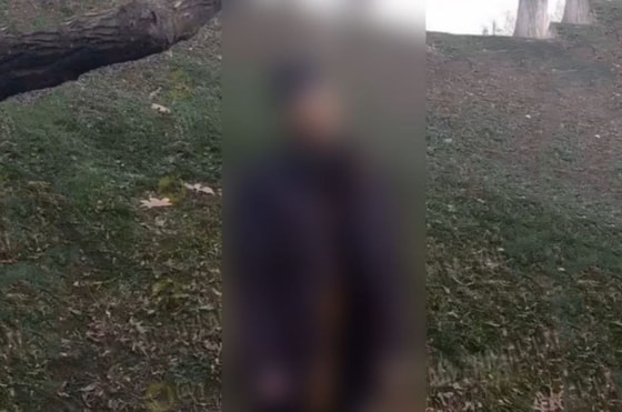 Кадр из видео