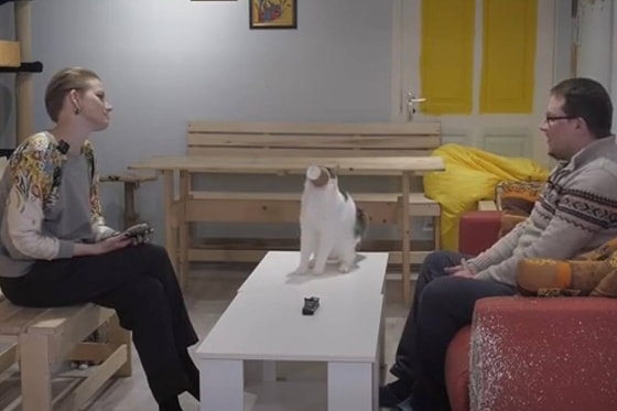 Кадр из видео/antoshkinkot47