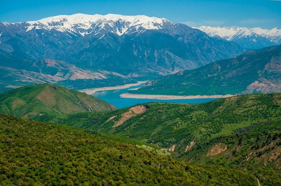 Фото: funart.pro