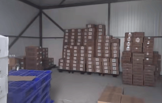 Кадр из видео