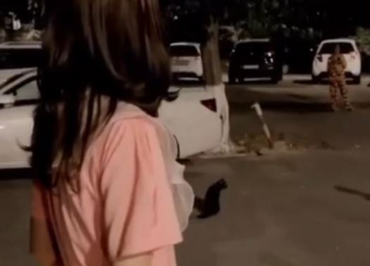 Кадр из видео