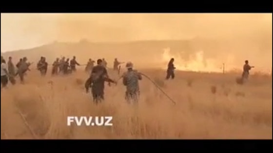 Фото: кадр из видео