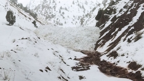 Фото: Пресс-служба МЧС