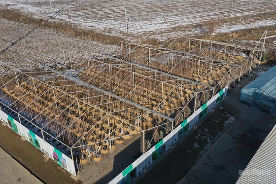 Фото: Пресс-служба президента