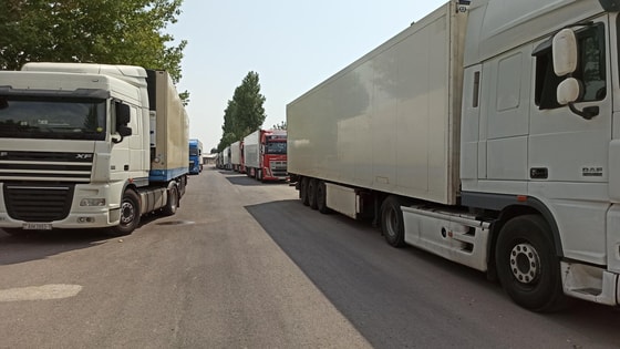 Фото: Sputnik Узбекистан