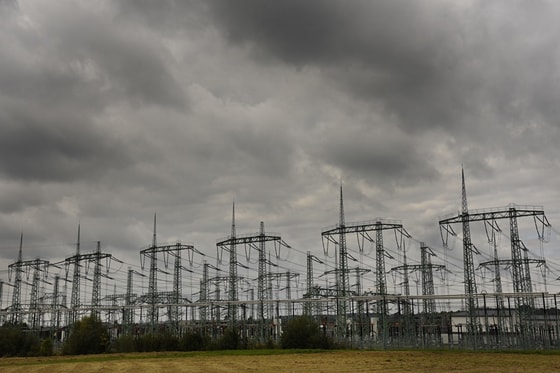 Фото:&nbsp;liport.ru