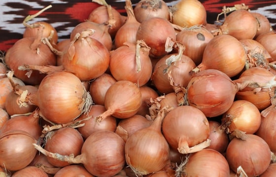 Фото: TezNews&nbsp;