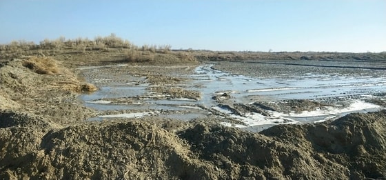 Фото: пресс-служба Агентства по противодействию коррупции