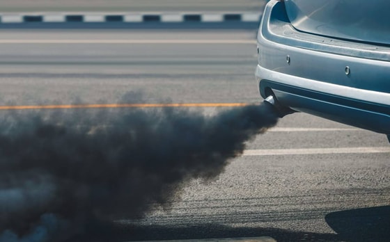 Фото:&nbsp; Toa555/Adobe Stock