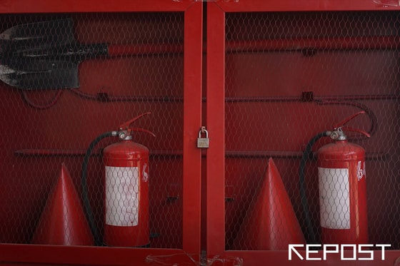 Фото: Repost