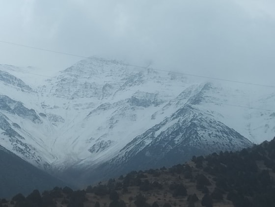 Foto:&nbsp;Jizzax&nbsp; Ekologiya boshqarmasi matbuot xizmati