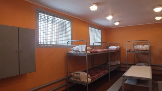 Фото: vgoroden.ru