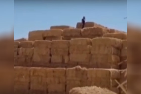 Кадр из видео