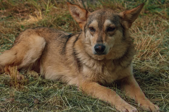 Фото: Авакян Маргарита / Repost.uz