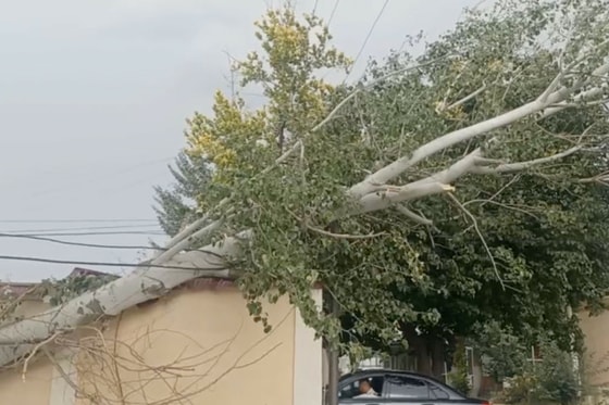 Фото: Hetmuloqot