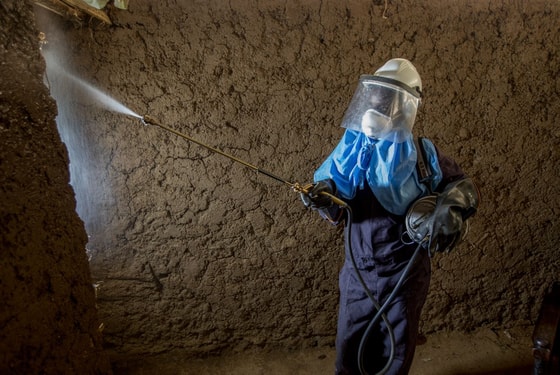 Фото: ShareAmerica