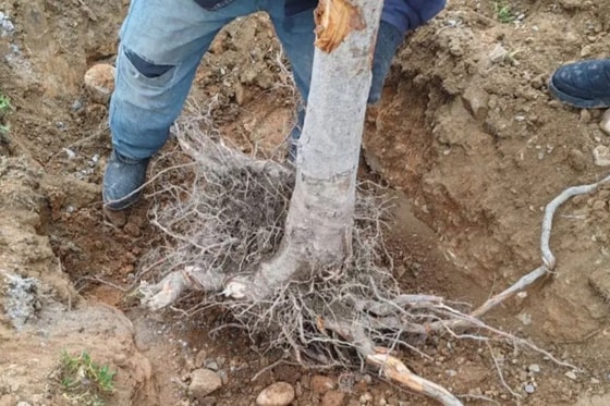 Фото: Минэкологии