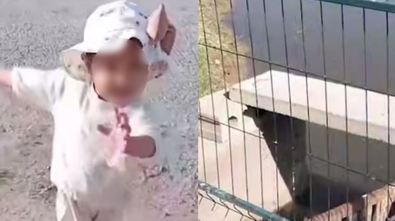 Кадры из видео