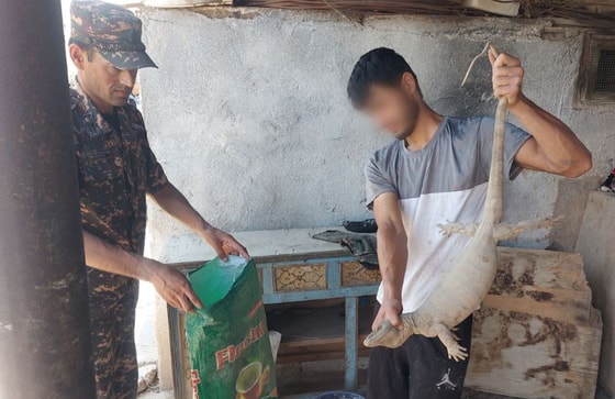 Фото: Минэкологии