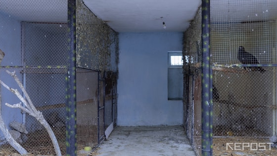 Фото: Ригина Маджитова / Repost.uz.&nbsp;