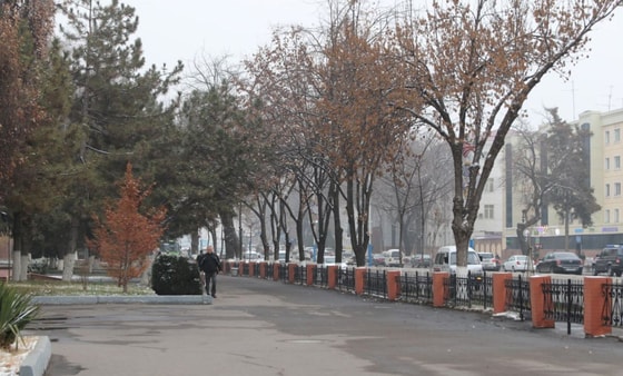 Фото: TezNews&nbsp;