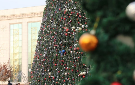 Фото: TezNews&nbsp;