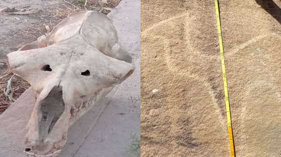 Фото: Академия наук