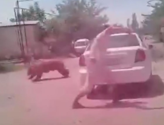 Кадр из видео