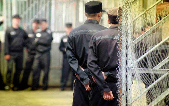 Фото: Открытые источники