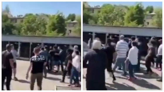 Фото: Кадр из видео