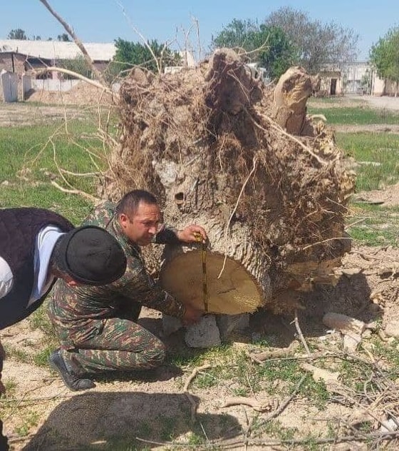 Фото: Госкомэкологии