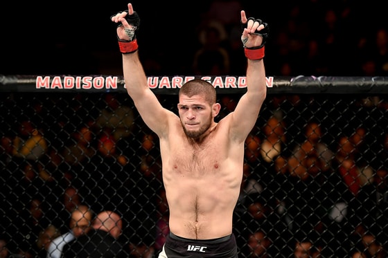 фото: Чемпионат