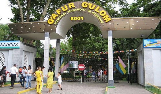 Фото: Яндекс.Дзен