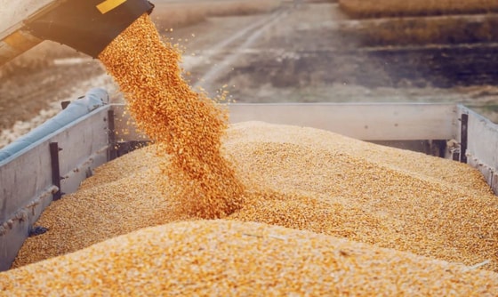 Фото: Kapital.kz