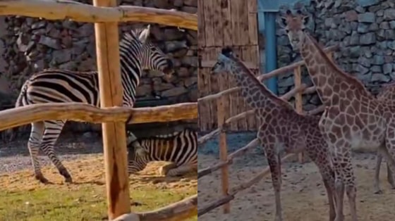 Кадры из видео