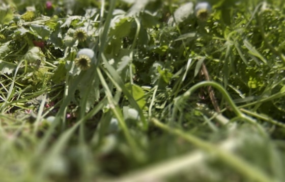 Ситуативное фото / Открытые источники