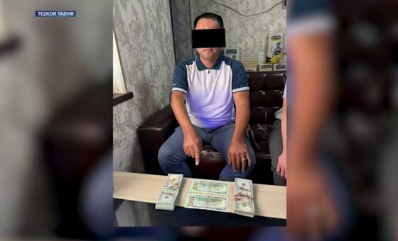 Кадр из видео