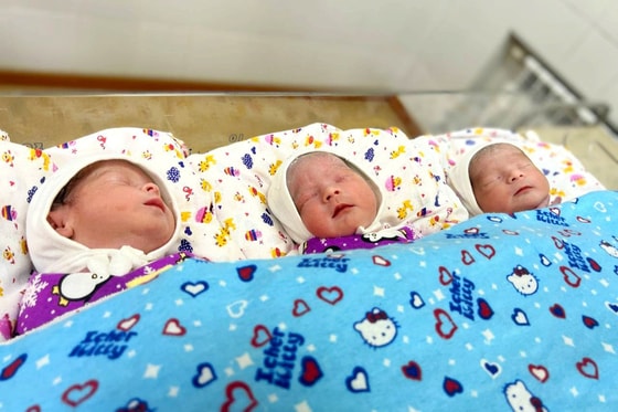 Фото: Комитет статистики