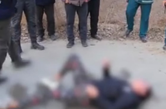 Фото: кадр из видео