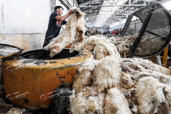 Фото иллюстративное&nbsp;