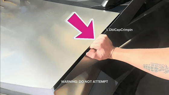 Фото: Открытые источники