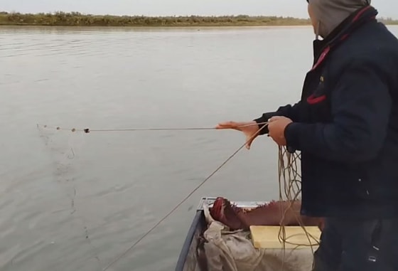 Фото: Минэкологии