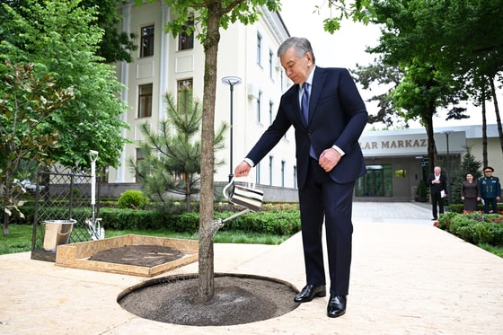 Фото: Пресс-служба президента